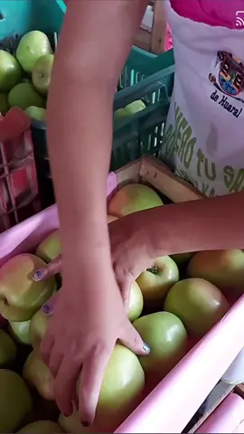 La manzana caña, Santa Rosa o Golden es buena aliada en la lonchera, pero siempre me pregunto ¿Por qué tarda en oxidarse? 🤔 El sábado 16 de marzo la conseguí en 3.50 el kilo en el mercado mayorista de Santa Anita 😉 se que vienen desde Cañete 🫶 A sus peques también les gusta la manzana? Sígueme para más experimentos, agárrate Ricardo Moran 🤭🤭🤭 #comida #Perú #loncheraescolar #nutricion #lonchera #lunchboxideas #idealonchera #loncheranutritiva #loncherafácil #loncheradivertida #niños #Viral #loncherasaludable 