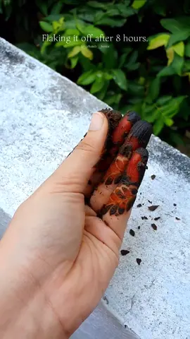 Fresh Henna Stain to Matured Henna Stain 😍 Watch till the end ! Grab our natural henna cones to get that perfect ultra dark henna stain in your hands for this Eid 🤍 • Available for immediate purchase. • Wholesale or Retail (with or without the logo). • Resellers are warmly welcome.  DM for ramadhan offers. • Islandwide delivery available 🇱🇰 • Pickup location: Wellawatte OUR NATURAL HENNA CONES ARE AVAILABLE IN UAE 🇦🇪 AS WELL || Per priced at 10 aed || • Delivery / pickup available.  DM for detailed address to purchase.   DM or contact 0759384849 in WhatsApp for further details 💌 #henna #hennastain #mehendistain #mehndistain #freshhennacones #maturedstain #progress #transition #process #srilankatiktok #srilanka #colombo #wholesale #retail #SmallBusiness #business #viral #fyp #exploremore #explorepage #trendingnow #trending #uae #uae🇦🇪 #sharja #dubai 