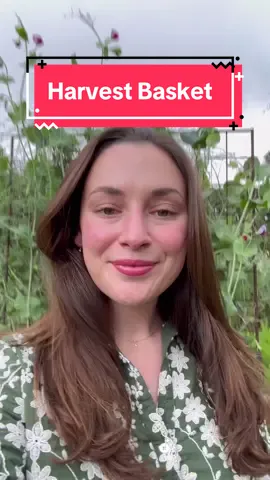 Rain or shine, it’s harvest basket time 💚👩🏻‍🌾☔️🧺 #harvestbasket #garden #gardentok 