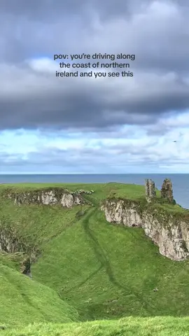 oh to be a little irish sheep frolicking with my sheep friends (ig: mzhaylstorm) #animalsdoingthings #sheep #ireland 