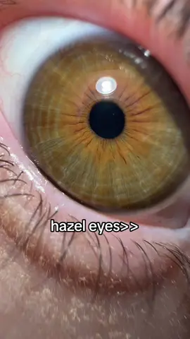 i actually love this trend 👀 #trend #eyes #lashes #viral #relatable #hazeleyes #trending #fyp #foru #beauty #makeup #skincare 