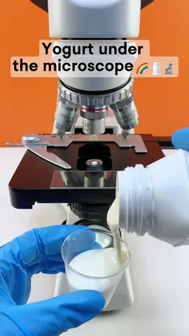 Would you still drink yogurt after watching it magnified 400 times?#microscope #undermicroscope #fyp #tiktok 