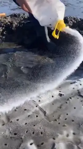 #seafood #fyp #foryou 