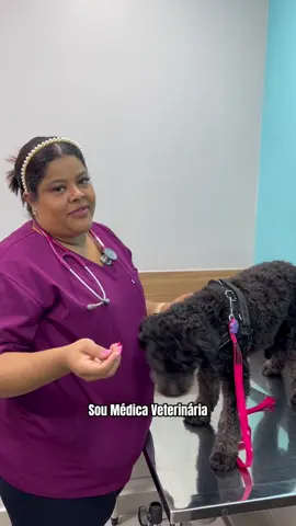 Nossa especialidade é o cuidado 💜🐾 #fyp #vet #trend 