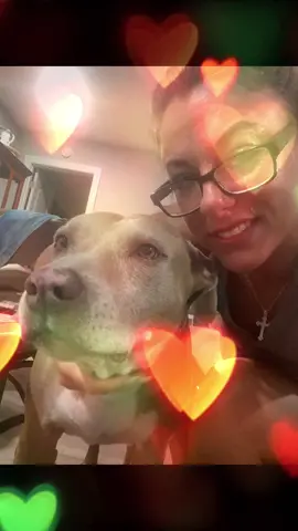 #dogsoftiktok #mydog #fyp##furbaby #foryourpage #foryourpage 