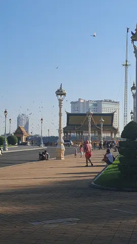 Chim bồ câu ở cung điện hoàng gia của Campuchia. Nếu đã đến Phnom Penh chắc chắn mọi người sẽ ghé: cung điện hoàng gia, chùa vàng, chùa bạc. Buổi tối mọi người có thể uống cafe trên du thuyền. ở PP an ninh ko đc tốt như ở SR, mọi người ra đường thì nhớ cẩn thận với đt và túi xách mang theo.