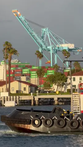 Tugboats assist container ship 👍 #ship #shipping #vessel #spotting 