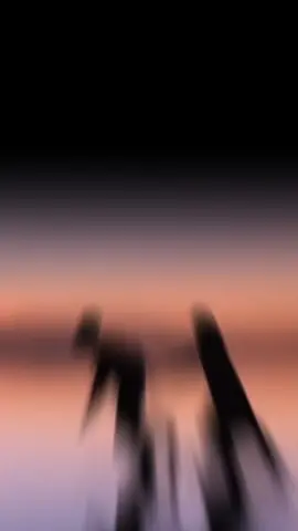 anh còn yêu em như rừng lửa cháy...💞💓💓#fyp #music #capcut_edit #tâmtrạng  #tìnhyêu #💞💞💞 #nhachaymoingay 