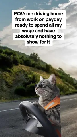 Money comes and goes i suppose #Meme #MemeCut #payday #work #cat #driving #memes #greenscreen #fyp #foryou #fypシ゚viral #fy 