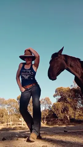 'Austin'🐴#dasha #austin #linedance #country #countrymusic #horse #dashaaustin #australia 