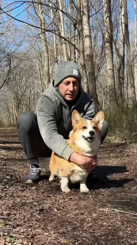 He's my little fawn. Hammy's adventures know no limits, but they always result in a bath. The @Pet Honesty Restore + Soothe 2 in 1 shampoo and conditioner's lather combines soothing ingredients like aloe and oatmeal while also working in MicroSilver BG, an all natural antibacterial ingredient that relieves his itching, irritations and hot spots. Get the product line for 25% off when you click the link in our bio and use HAMMY25 at checkout! #pethonesty #pethonestypartner 