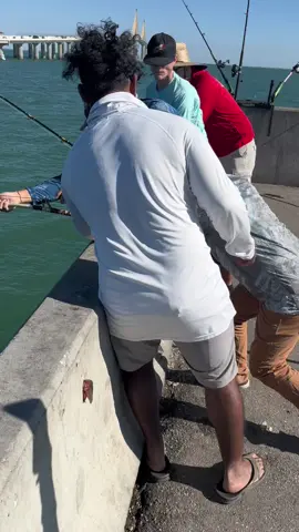 The Texas Boys came to play with the skyway pier Monster's #skywaymisfits #sharkvato #svcustoms #lonestarliprippers #skywayfishingpier #goliathgrouper #florida #Texas #Bigfish #Monsterfish #fish #fisherman #fishingislife #fishingdaily #fishingtrip #fishingaddict #skywaybridge #skyway #sunshine #b2b #winning #trendingnow #vibes #fishingislife #goals #fishingtrip #fishlikemisfits #fishtok #fishingtiktoks 