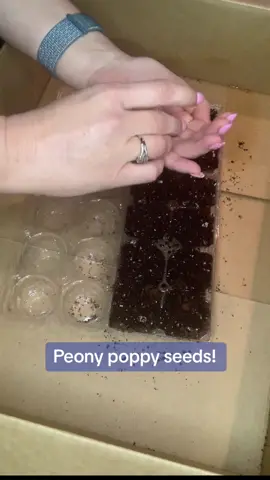 Upcycle an egg carton with me! #FYP #foryou #foryoupage #happy #countrylife #smile #countrygirl #Love #spring #pretty #amazing #nature #Home #photography #photomagic #flowers #flowershower #garden #gardening #flowers