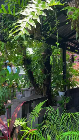 📍bonsai kopi, jombang #bonsai #bonsaikopi #fyp #abcxyz #kuliner #jombang #ngopi 