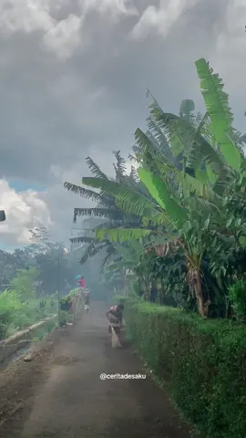 Sampai bertemu di kampung halaman ya nak.. . #kampung #kampunghalaman #kampunghalamantercinta #kampunghalamanku #kampunghalamanku❤️ #desaku #desakutercinta #inspirasidesa #Inspirasisuasanaidulfitri #suasanapedesaan #suasanadikampung #suasanadesa #suasanalebaran #suasanapedesaan🌾🌿🌴🌲💞📷 #suasanaalam #ceritadesaku #lebaran #lebaran2024 #lebaransebentarlagi #lebaranbahagia #idulfitri #idulfitri2024 #mudik #mudikonline #mudiklebaran #mudikkekampung 