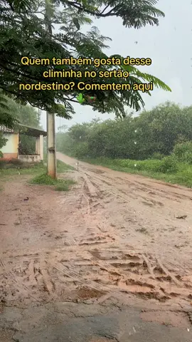 Melhor lugar do mundo é no meu interior 🙏🌵🐎 @Coisas do Sertão #nordeste #sertaodonordeste🌵 #vaqueiraraiz🐎❤😎 #nordestino_arretado #coisasdointerior #orgulhodesernordestina🏜️🌵❤️ #nordestinaraiz🌵♥️ #meusertãoamado🌵❤️ #amor #sertãonordestino #vaqueiro #fypシ゚viral #fy #tiktokviral #sertão🌵🌞❤️ #mandacaru #pazmental #🌵 #vaqueira #chuva 