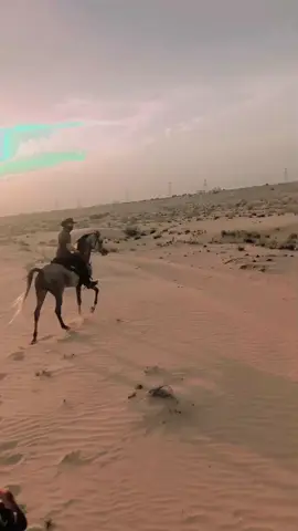 @𝙆𝙝𝙖𝙣𝙯𝙖𝙙𝙖_𝙚𝙙𝙞𝙩𝙨 🍂 @Adi #kpktiktoke #دبی #گھوڑے_شوق_نواباں_دا🐴 #