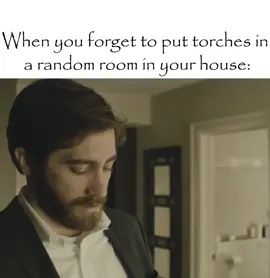 Literal mc meme ig #fyp #minecraftmemes #Minecraft #spider #enemy #jakegyllenhaal #enemy2013 #horror #torch #literalmeme 