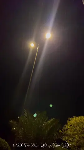 #محمد_الحلفي #اتأملك #الحلفي #محمد_الحلفي🥺🎤 #منشدين_العراق #وجيهاً_بالحُسين #اللهم #عجل_لوليك_الفرج #الامام_المهدي #بابل_الحله #الحله 