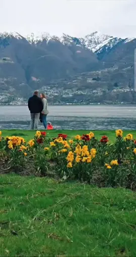 لاتصدگ اليحچون عنك وعني كلهم تره يغارون منك ومني سعدون جابر💔