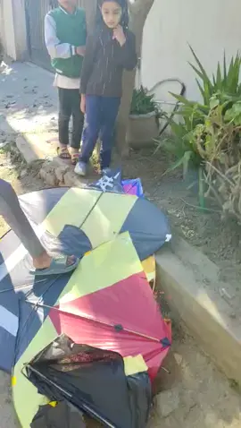 patangbazi sy boycott #saynotokiteflying #2k24 #viral #viralvideo #foryoupage 