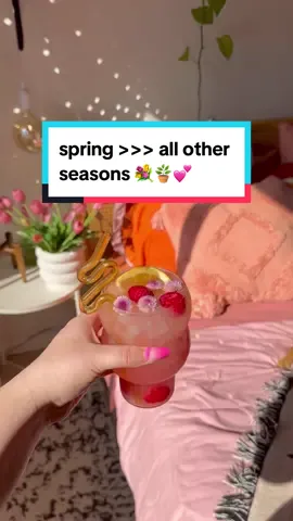 @Natalie Quinn 🪩✨🍄🌵🦋🌈🌱 spring aesthetic?? Just as delightful as her drink recipes! 🌷💕 REFRESHING SPRING SPRITZ ✨ Wyler’s Light lemonade + strawberry lemonade ✨ sparkling lemon water ✨ Fresh raspberries, lemon slices, and edible flowers for garnish You can find our 16 count value packs at your local @Dollar General! 👌 #singlestogo #wylerslight #watertok #fyp #flavoredwater 