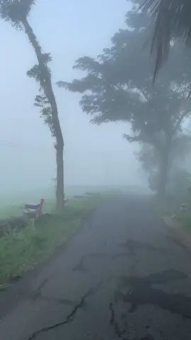 Vibes pagi hari + kabut 🫶🏻  #pacitan #kabut 
