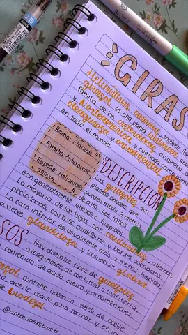 Espero les fuste este apunte!! 🩷👍 #apuntesbonitos #parati #lettering #ideas #aesthetic 