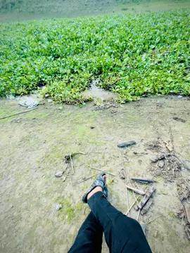 তুমি উপন্যাসের নতুন চরিএ খুঁজতে ব্যস্ত. “আমি পুরনো বই এর ছেঁড়া পাতায় অভ্যস্ত 🌸