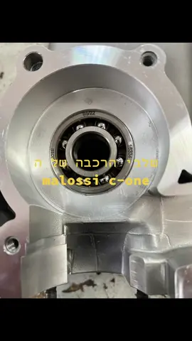 רק במלוסי ישראל 098800486 בן גוריון 20 הרצליה