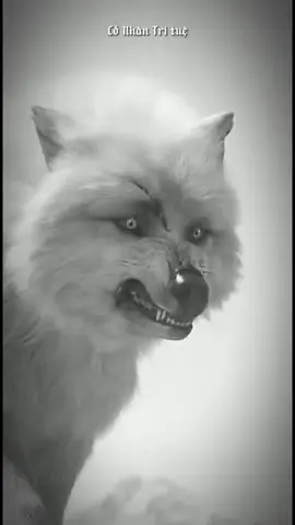 Mặt dày tâm đen. #tritueconhan #xuhuong #sachhay 