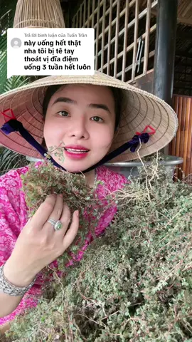 Trả lời @Tuấn Trần cái này uống hết thật nha tui bị tê tay thoát vị đĩa đệm uống 3 tuần là hết. #baithuochay #baithuochaymoingay #daunhucxuongkhop #thankinhtoa #tebichantay #duongthanan #dieuthuyen188 