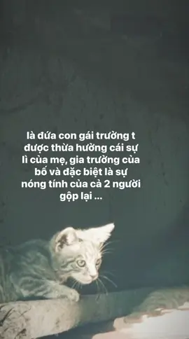 #tamtrang #xuhuong #her #foryou 