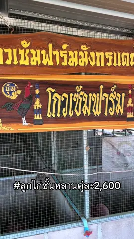 #ลูกไก่ชั้นหลาน #15ไร่บายพาส #โกวเซ้มคอฟฟี่ #โกวเซ้มฟาร์ม #เทรนด์วันนี้ 