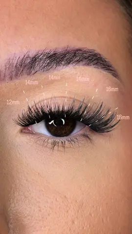 create a cat eye lash with me💗✨🤍 using our Enya pre-cut, weightless, multi-length collection lash ribbons. Lash map at the end!! #lashribbons #diyeyelashextensions #lashapplication #underlashapplication #weightlesslashes #lashmap #cateyelashes @lashribbons 