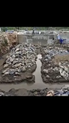 Pembuatan kolam air deras sebanyak 35kolam #kolamikan #fyp #ikanmas #viral 