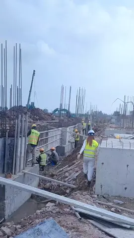 Cố gắng vì một ngày mai tốt đẹp hơn 🥺#xuhuong #nhactamtrang  #tieulongnhi #kieplamthue 