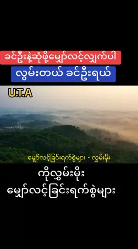 ကိုလွှမ်းမိုး #မြန်မာသံစဉ်ချစ်မြတ်နိုးသူ #သီချင်းကြိုက်လို့တင်လိုက်ပြိနော်😘 