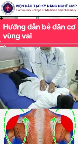 Hướng dẫn bẻ dãn chỉnh cơ vùng vai lớp xoa bóp bấm huyệt ! #viendaotaocmp #lopxoabopbamhuyetcuoituan #xuhuong #yhoccotruyen 