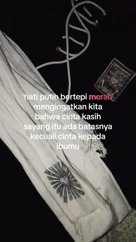 ❤️#fyp #shterate #foryoupage #masukberanda #psht #psht1922 