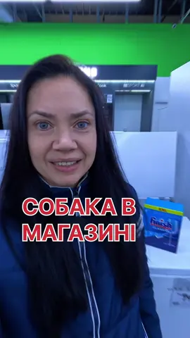 #собака #вівчарка #собачежиття #собакаукраїна #кінологукраїна #кінологодеса #коргі 