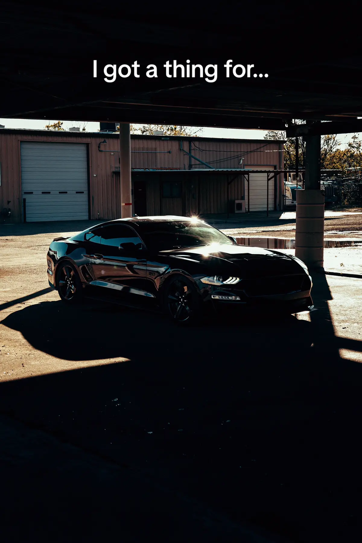 #yotemike #coyote #5ohcoyote 