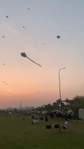 Khu thả diều q2 #q2 #thadieu #thadieuthuthiemquan2 #thadieunghethuat #saigon #saigonthadieu #fyp #trending #thuduc 
