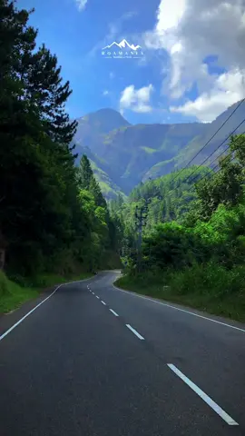 ලංකාවේ තියන ලස්සනම පාරවල් වලින් එකක්.🍃🌝#feel #status #colours #whatsappstatus #trending #trending #badulla #bandarawela #haputhale #haputhalesrilanka #kalupahana #kalupahana_srilanka #ohiya #gree #natural #srilankan_tik_tok🇱🇰 #srilanka #travel 