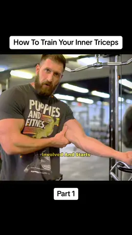 Ever wondered why your triceps don't look any bigger... Well it's probably because you're focusing on the wrong head. The true meat of your triceps and your arms for that matter comes from the inner head of your triceps and this video will show the exact exercises + variations you need to grow bigger inner triceps!!! #bodybuilding #triceps #tricepsworkout #GymTok #fyp 