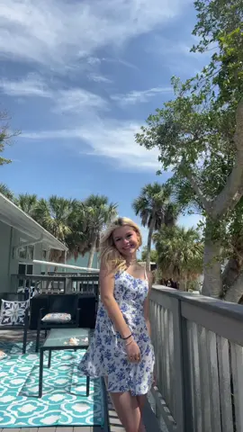 🌴🌴🌴