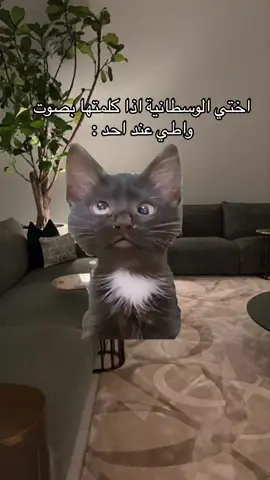 شكل الاخت الوسطانية في عالم الموازي كل الناس فهمتني الا هي🙂🙂 #Meme #MemeCut #explore #tiktok #مالي_خلق_احط_هاشتاقات #الاخت_الوسطى 