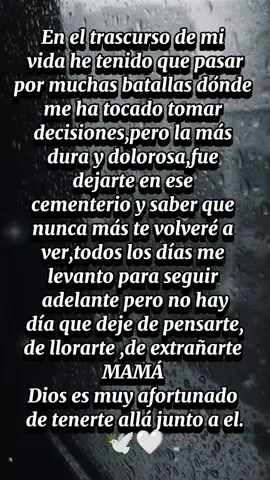 #CapCut #mama #teextraño💔😥🥀 #paratiiiiiiiiiiiiiiiiiiiiiiiiiiiiiii #enelcielo #lutoeterno #madre #letrastristes #sintinadasoy #infinito #paratienelcielo🥀 #🕊️🤍 #🖤 #volveras #tristeza 