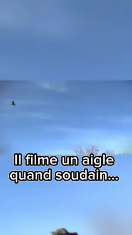 #duo avec @Nostalgie_France #pourtoi 