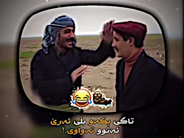 فیدیۆیەکە بێ ئیدیت لە تلیگرام داندراوە#ustaz_niko2 #حاجی_جادر 